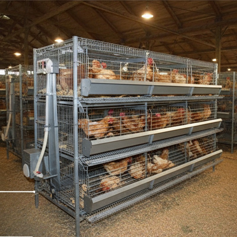 Innovative Smart Chicken Cage System for Sustainable Poultry Farming